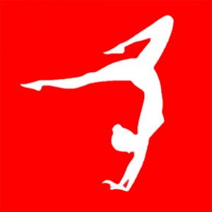 BAS-Gym-Logo2.jpg